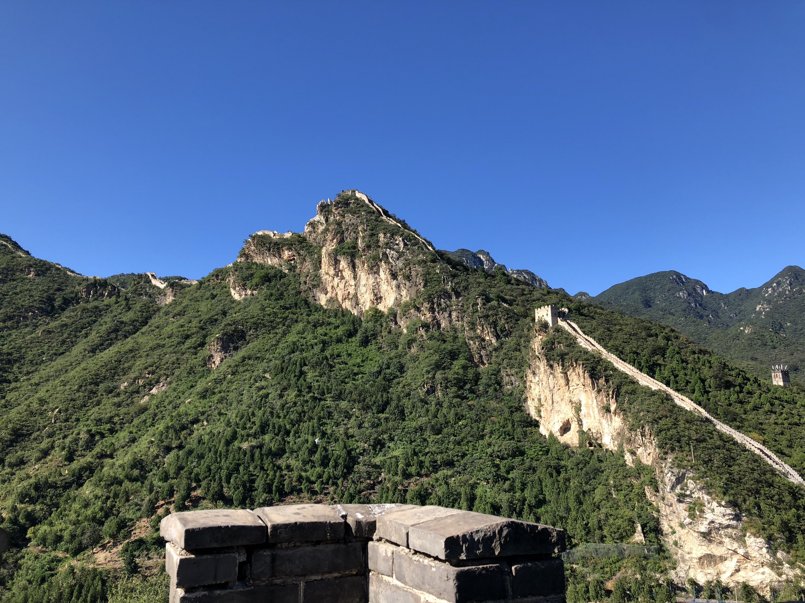 La Grande Muraglia della Cina attraversa colline verdi in una giornata di sole e cielo azzurro.