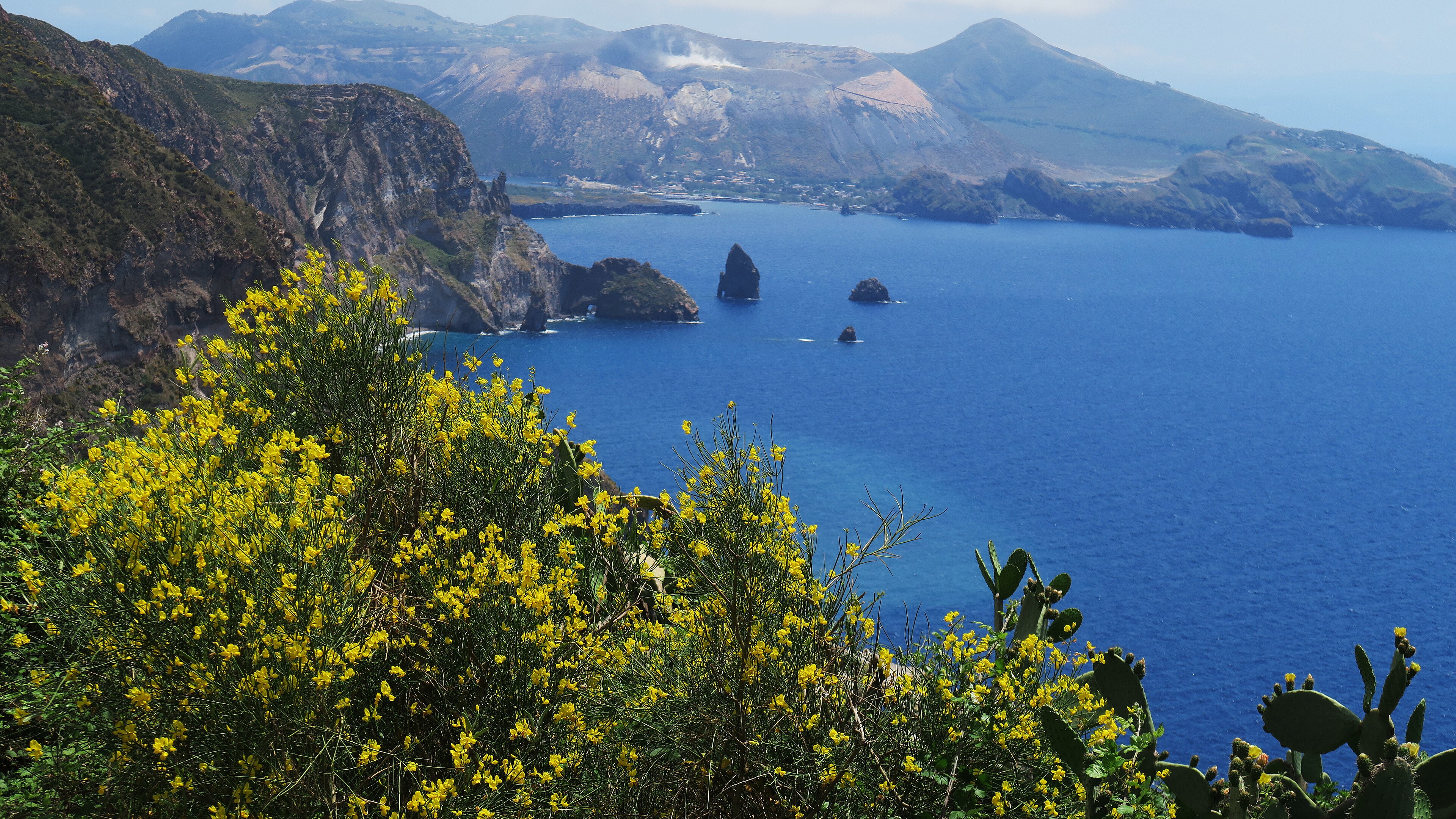 Ginestra gialla e mare blu davanti ai faraglioni di Lipari, con Vulcano sullo sfondo.