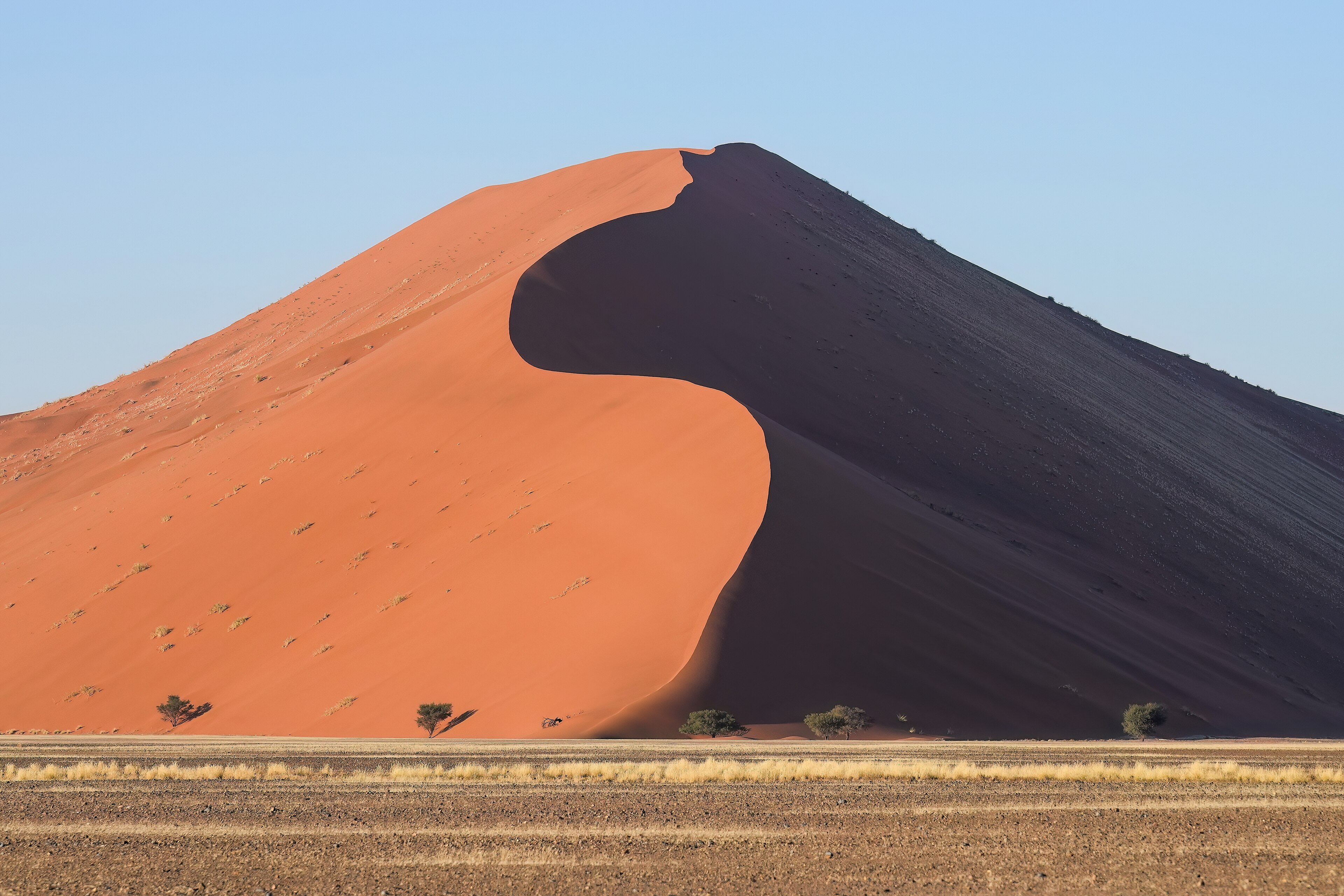 La Duna 45 a Sossusvlei, con sabbia arancione illuminata dal sole, cielo azzurro e piccoli alberi alla base.