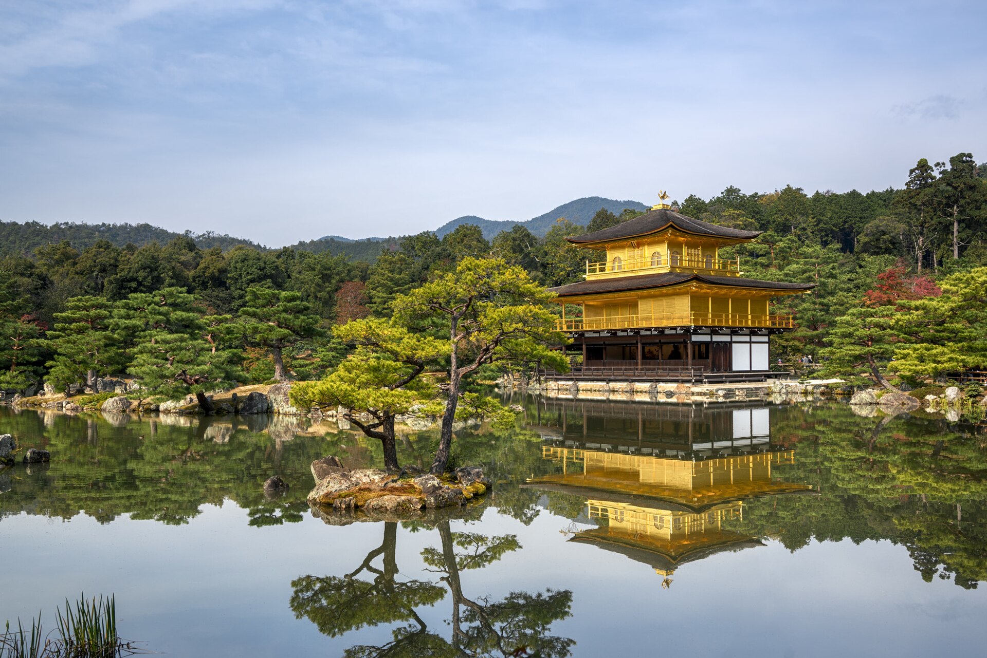 Il Padiglione d’Oro del Kinkaku-ji a Kyoto riflesso nello stagno, tra alberi verdi e prime foglie autunnali.