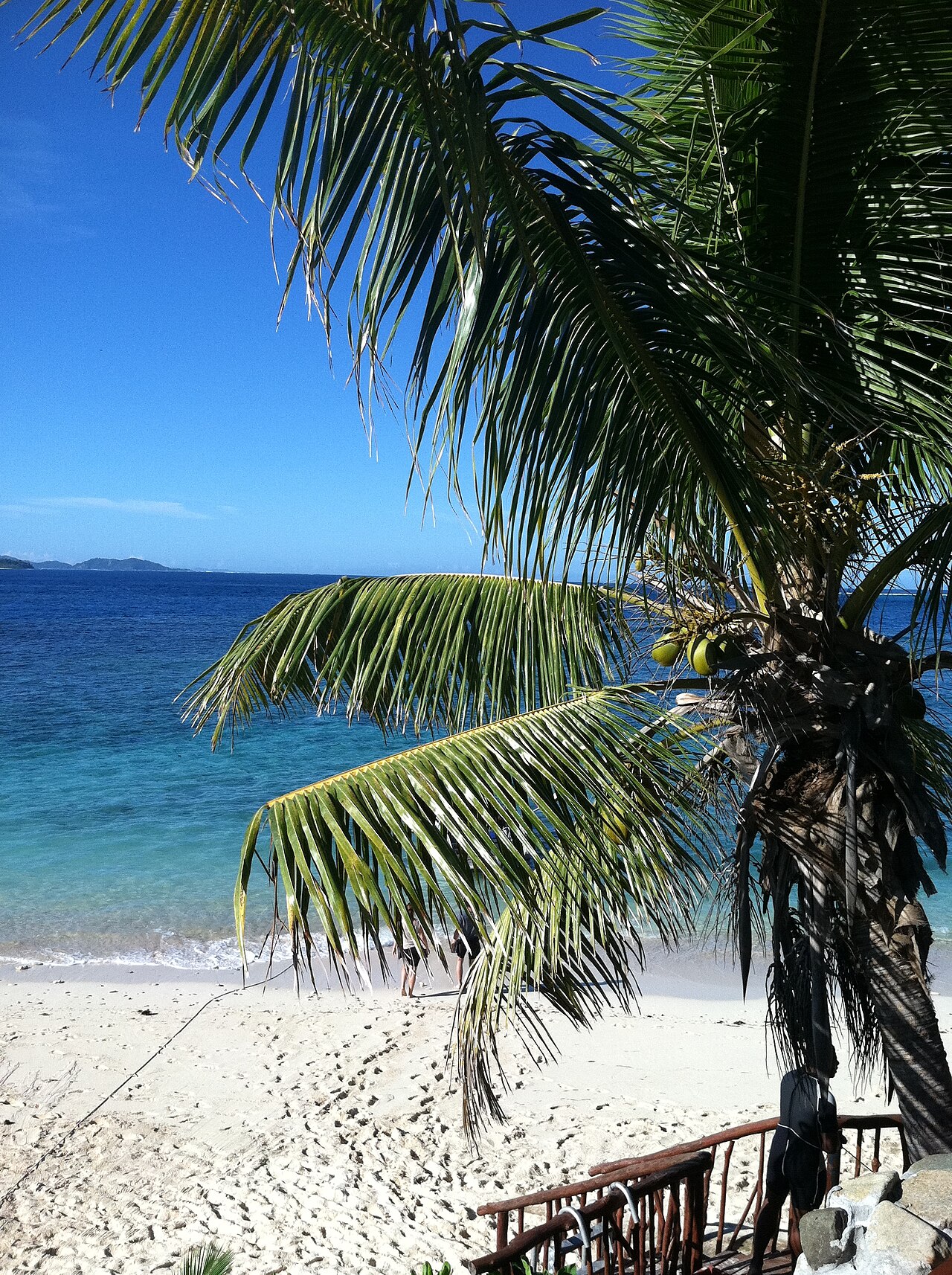 Spiaggia di Matamanoa nelle Fiji, con una palma in primo piano, sabbia chiara e mare turchese.