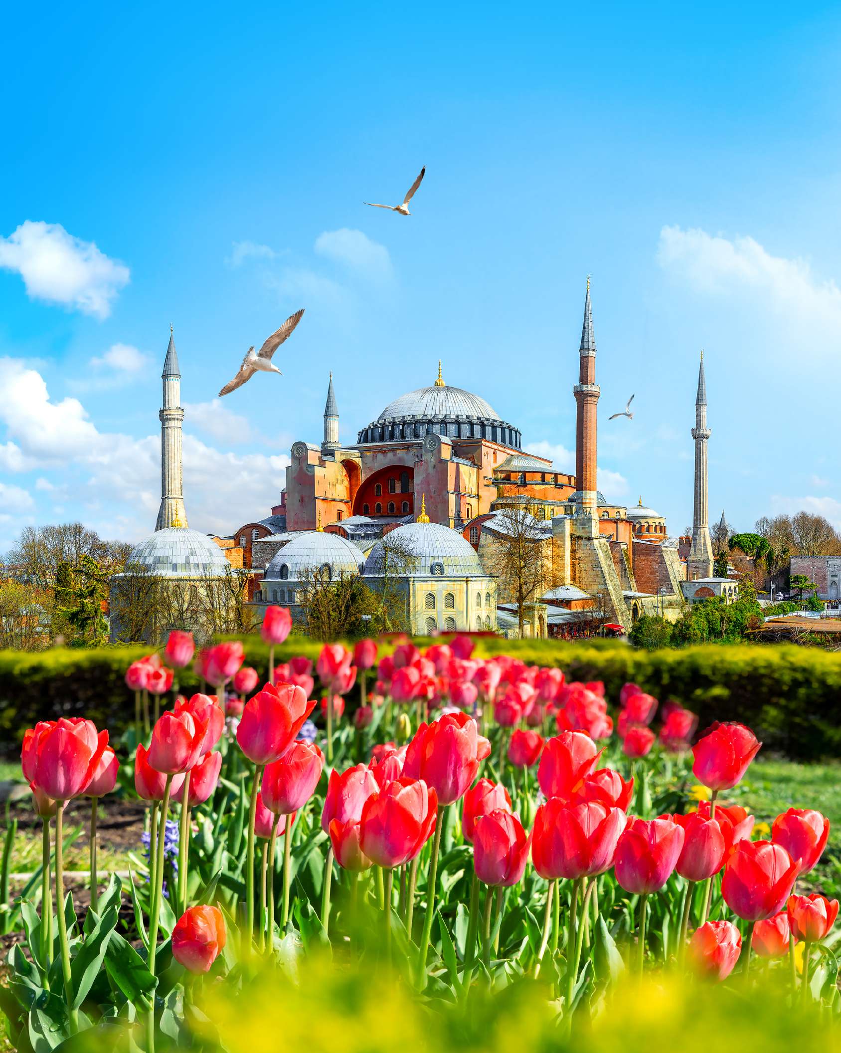 Santa Sofia a Istanbul con i suoi minareti