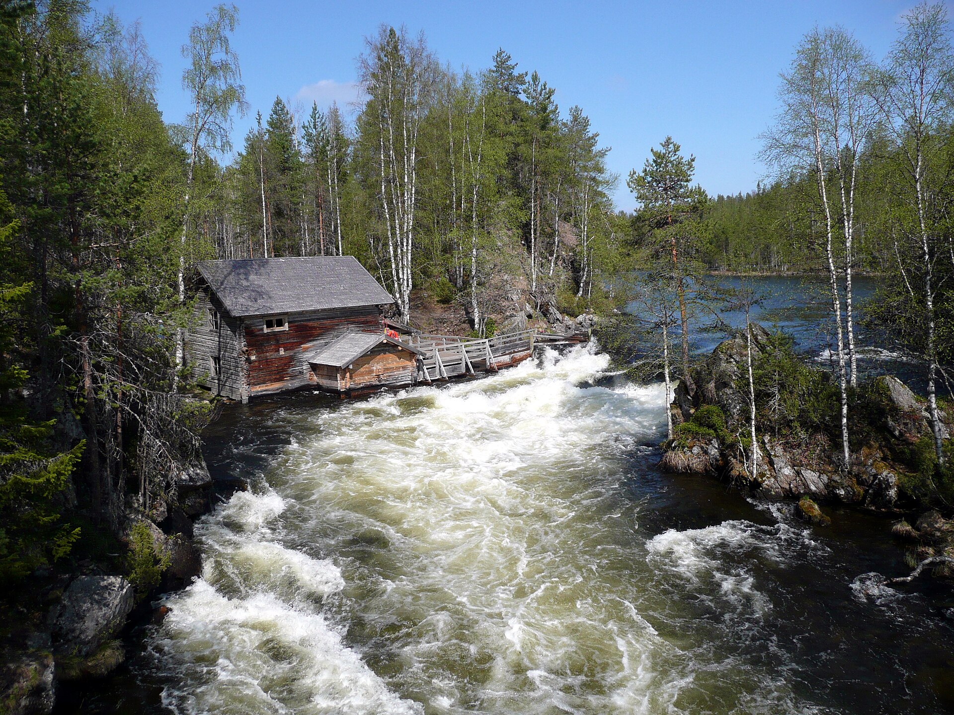 Le rapide di Myllykoski e il vecchio mulino tra i boschi del Parco nazionale di Oulanka