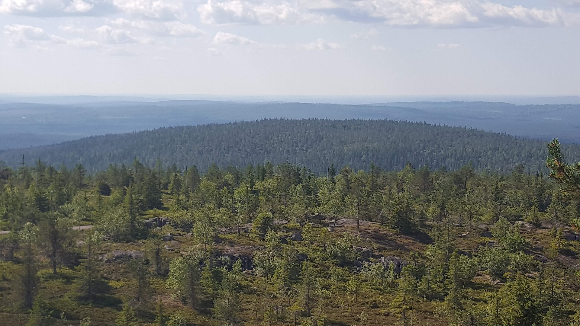 Panorama estivo da Iso-Syöte sulle foreste verdi e le colline finlandesi
