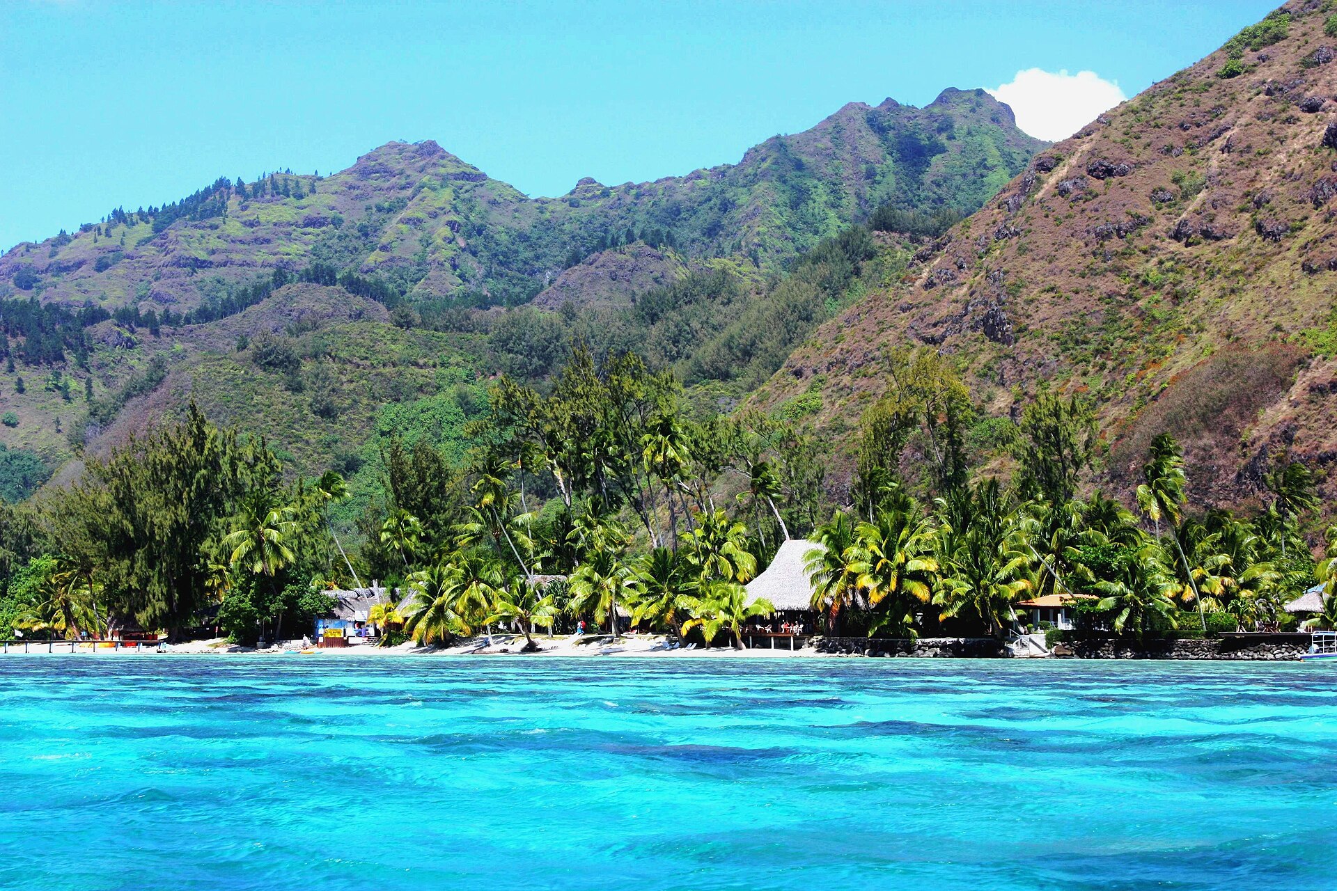Acqua turchese, palme e montagne nella laguna di Hauru a Moorea