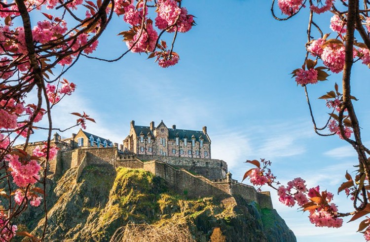 Edinburgh Castle auf der Festung zwischen blühenden Zweigen