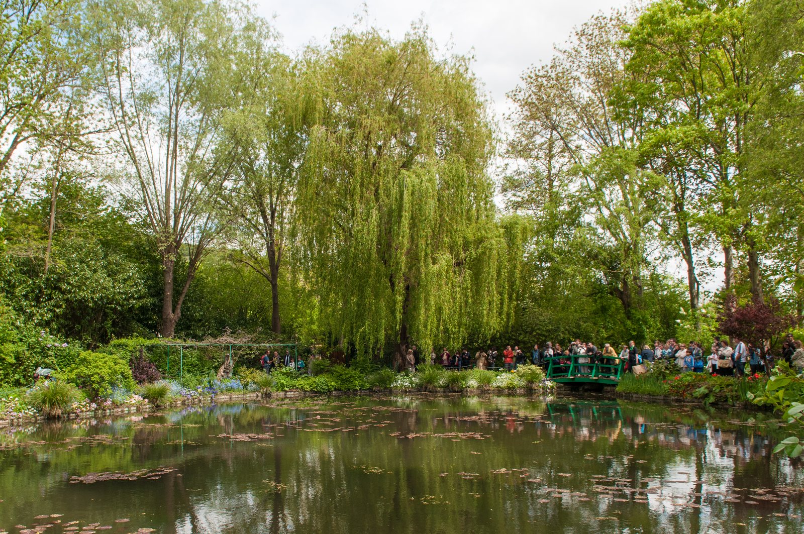 Il giardino di Monet a Giverny, con lo stagno e il ponte giapponese