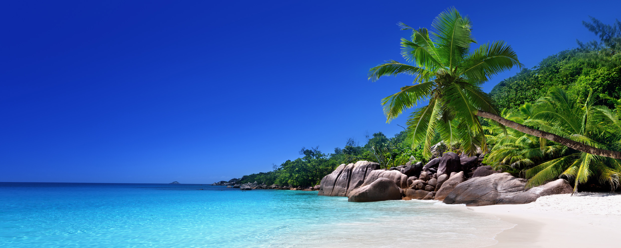 Spiaggia tropicale di Mahé e Praslin alle Seychelles con palme e mare turchese
